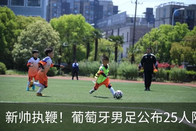 新帅执鞭！葡萄牙男足公布25人阵容：41岁C罗延续23年国家队征程